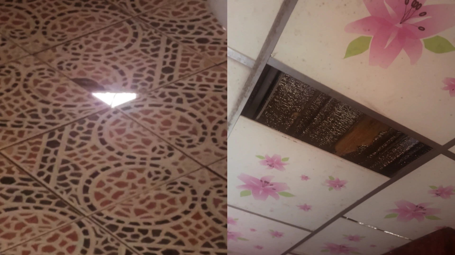 photo montage showing holes in the floor and ceiling of the floating bungalow